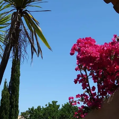 Prázdninový dům U Paviddonu