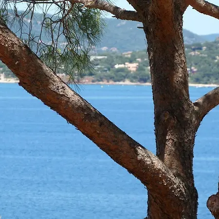 Prázdninový dům U Paviddonu Porto-Vecchio (Corsica)